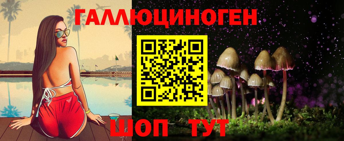 Псилоцибиновые грибы Cubensis Туапсе
